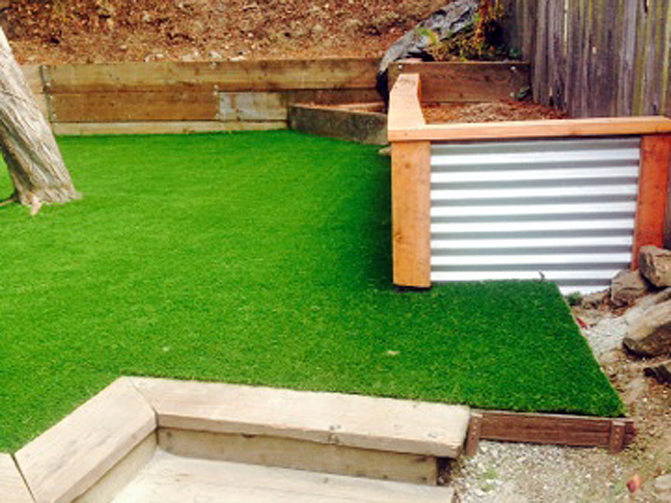 Artificial Turf Cost Plantation Florida Landscape Design