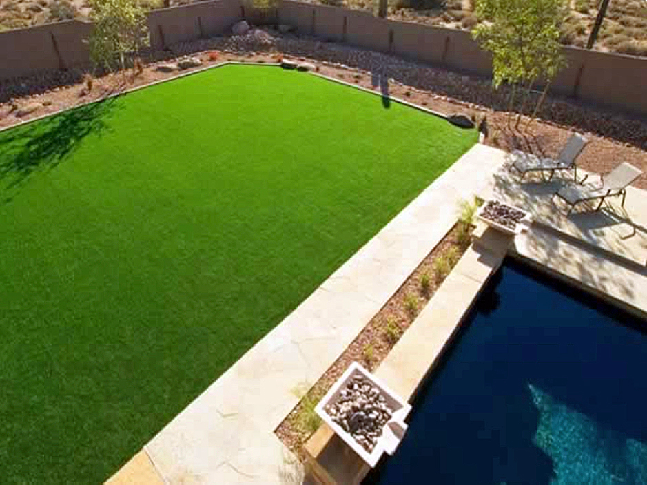 Fake Grass Carpet Carver Ranches Florida Paver Patio Backyard