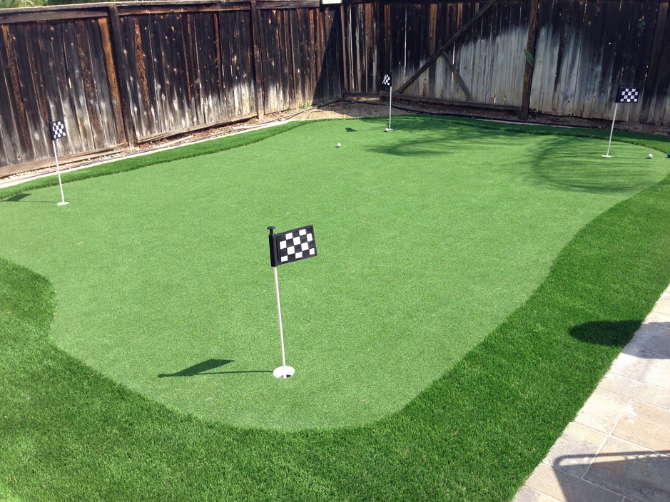 Fake Grass Palmetto Estates Florida Putting Green Turf Backyard