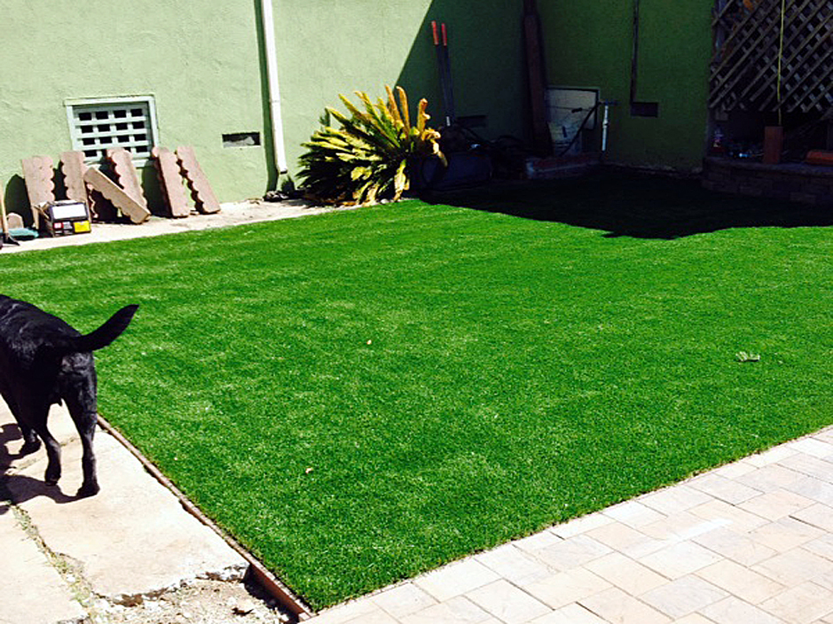 Fake Turf Lake Sarasota, Florida Rooftop, Backyard Design