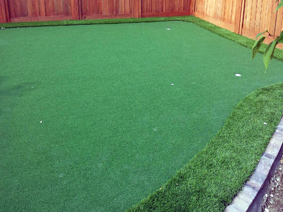 Faux Grass Rock Island Florida Outdoor Putting Green Backyard