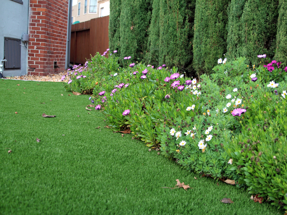 Outdoor Carpet North Palm Beach, Florida Landscape Ideas, Front Yard Ideas