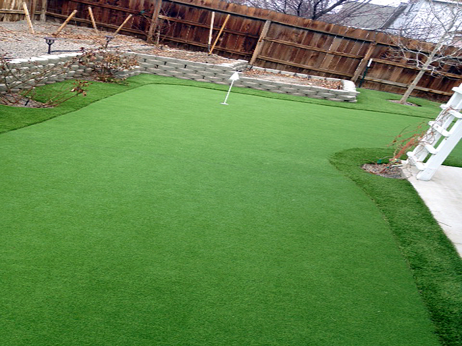 Synthetic Grass Cost Labelle Florida Lawns Small Backyard Ideas