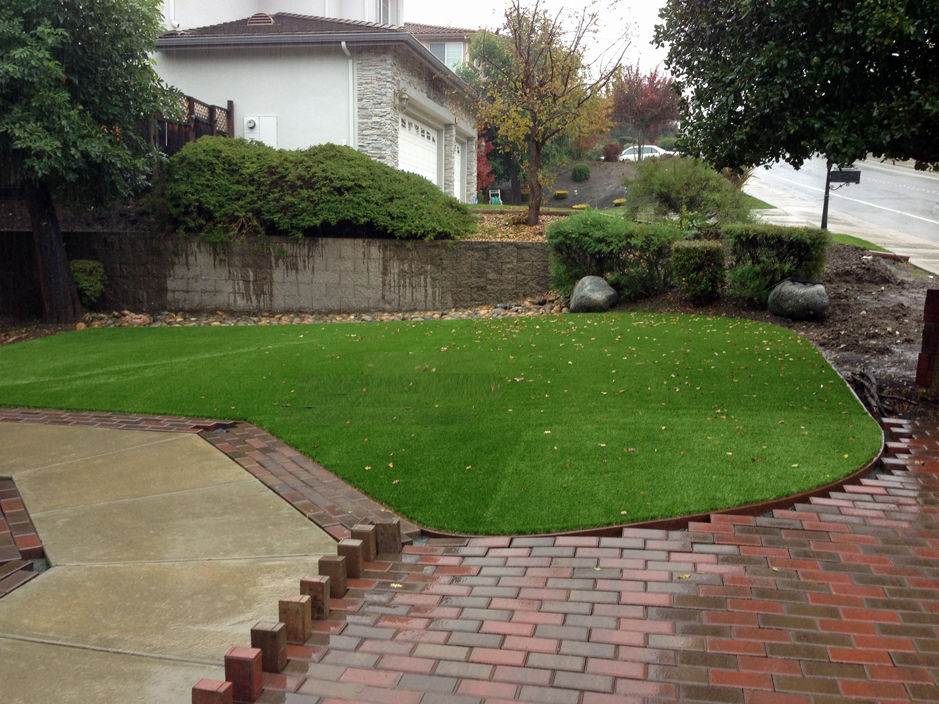Synthetic Grass Cost Miami Florida Landscaping Backyard Landscaping