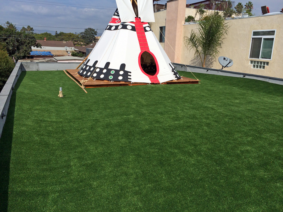 Synthetic Grass Cost Miami Springs Florida Backyard Playground