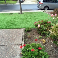 Artificial Grass Highland Beach, Florida Dog Park, Landscaping Ideas For Front Yard