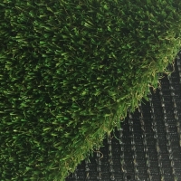 Pet Turf