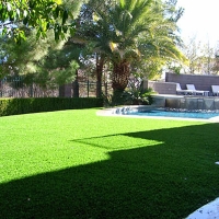 Artificial Grass Punta Rassa, Florida Design Ideas, Backyard Landscaping