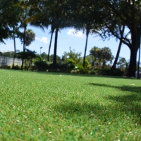 Artificial Lawn Pineland, Florida Backyard Playground, Parks