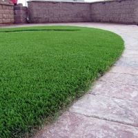 Artificial Lawn Progress Village, Florida Cat Grass, Front Yard Ideas