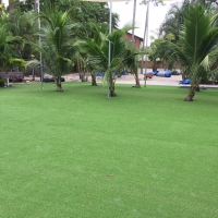 Artificial Turf Installation Gardner, Florida Garden Ideas, Commercial Landscape