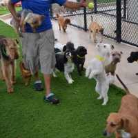 Fake Grass Captiva, Florida Dog Grass, Dog Kennels