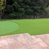 Fake Grass Carpet Miami Gardens, Florida Design Ideas, Backyards