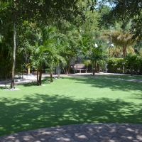 Fake Grass Winter Beach, Florida Lawn And Landscape, Commercial Landscape