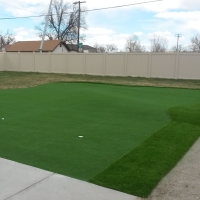 Fake Lawn Burnt Store Marina, Florida Indoor Putting Green, Backyard Designs