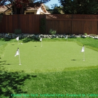 Fake Turf Coral Gables, Florida Diy Putting Green, Backyard