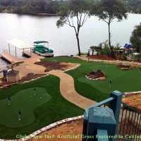 Fake Turf Key Biscayne, Florida Indoor Putting Green, Backyard Garden Ideas