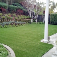 Faux Grass Cape Coral, Florida Gardeners, Backyard Designs