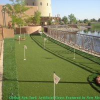 Grass Carpet Brownsville, Florida Best Indoor Putting Green, Backyard Landscape Ideas
