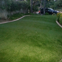 Grass Carpet Micco, Florida Lawn And Garden, Front Yard Ideas