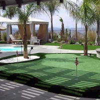 Grass Carpet Royal Palm Beach, Florida Landscape Design, Swimming Pools