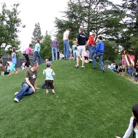 Grass Installation Bee Ridge, Florida Gardeners, Recreational Areas