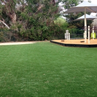 Green Lawn Manasota Key, Florida Lacrosse Playground