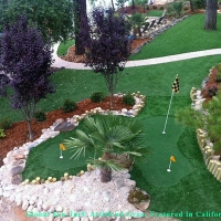 Lawn Services Miami, Florida Landscape Design, Beautiful Backyards