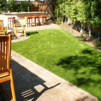 Plastic Grass Twin Lakes, Florida Hotel For Dogs, Beautiful Backyards