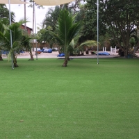 Synthetic Grass Cost Bokeelia, Florida Roof Top, Commercial Landscape