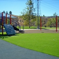 Synthetic Grass Cost Boulevard Gardens, Florida Lawns, Recreational Areas