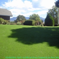 Synthetic Grass Cost El Portal, Florida Dog Grass, Backyard Garden Ideas