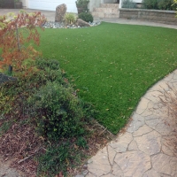 Synthetic Grass Cost Parkland, Florida Dog Grass, Beautiful Backyards