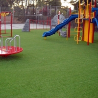 Synthetic Lawn Thonotosassa, Florida Playground, Recreational Areas