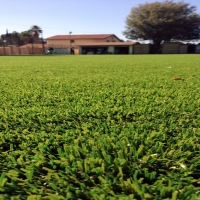 Synthetic Turf Supplier Weston, Florida Landscape Design