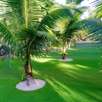 Synthetic Turf Wabasso, Florida Backyard Playground, Commercial Landscape