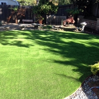 Turf Grass Estero, Florida Dog Pound, Backyard Ideas