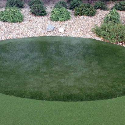 Artificial Grass Carpet Azalea Park, Florida Landscape Rock