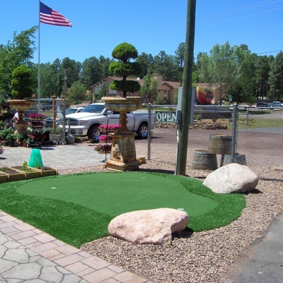 Artificial Grass Carpet North River Shores, Florida Roof Top, Commercial Landscape