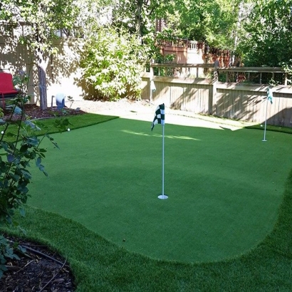 Artificial Grass Carpet Palm City, Florida Artificial Putting Greens, Backyard Designs