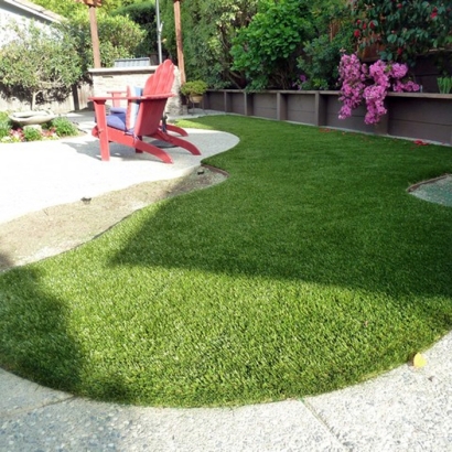 Artificial Grass Carpet Sanibel, Florida Pictures Of Dogs, Backyard Garden Ideas