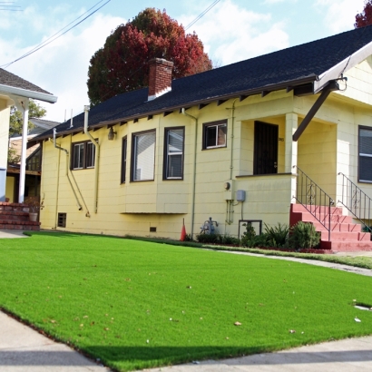 Artificial Grass Carpet White City, Florida Backyard Deck Ideas, Front Yard Landscaping Ideas