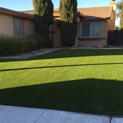 Artificial Grass Fort Myers Beach, Florida City Landscape, Landscaping Ideas For Front Yard