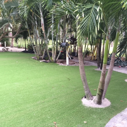 Artificial Grass Installation Harbour Heights, Florida Landscaping, Commercial Landscape