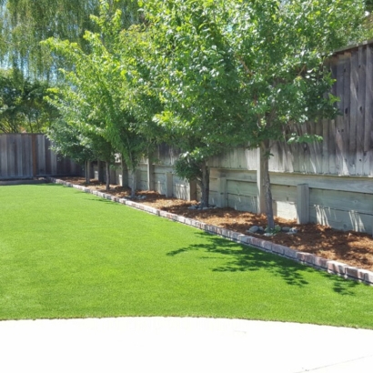 Artificial Grass Installation Wauchula, Florida Home And Garden, Commercial Landscape