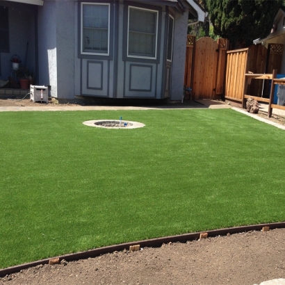 Artificial Grass Lakewood Park, Florida Roof Top, Backyard Landscape Ideas