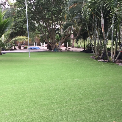 Artificial Grass Southeast Arcadia, Florida Landscaping Business, Commercial Landscape