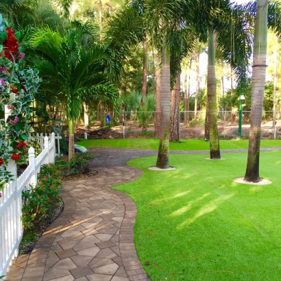 Artificial Lawn Gifford, Florida Lawn And Garden, Backyard Garden Ideas