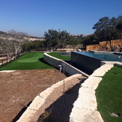 Artificial Lawn Southeast Arcadia, Florida Backyard Putting Green, Backyard Design