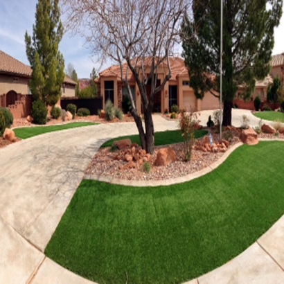 Artificial Lawn University Park, Florida Backyard Playground, Front Yard Landscaping